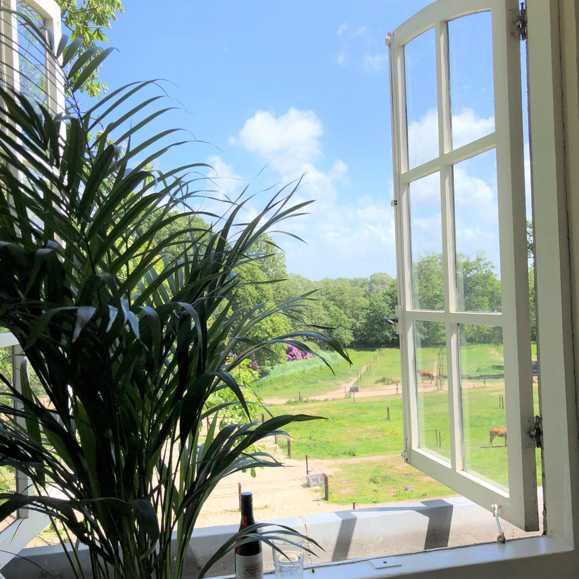 Eco Hotel Plantage Rococo Velsen-Zuid Room photo